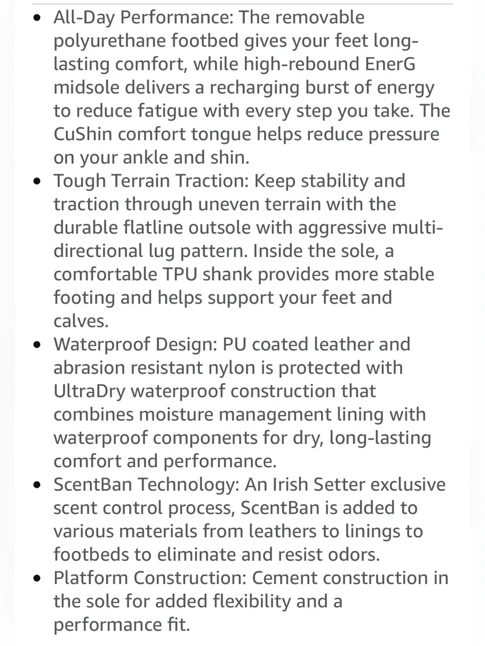Irish Setter Terrain 10